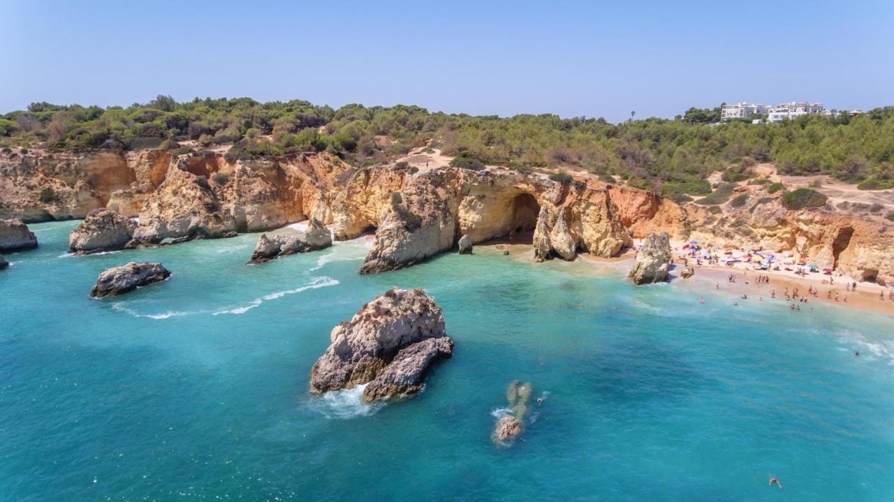 Quinta Das Palmeiras Pool & Beach In Pera 포르체스 외부 사진